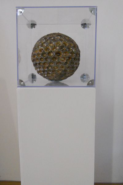 MW 03 (Normale Auflösung)